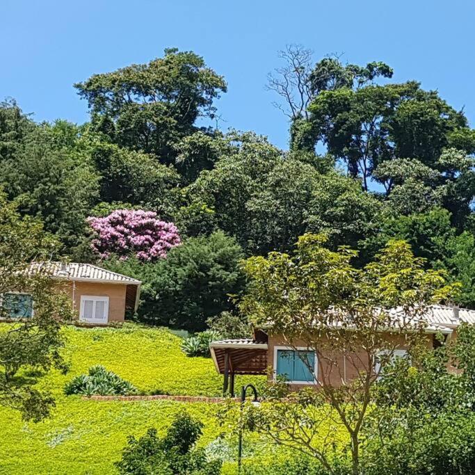 Recanto Dos Beija Flores, Chale Lantana C 南蒙蒂阿莱格里 外观 照片